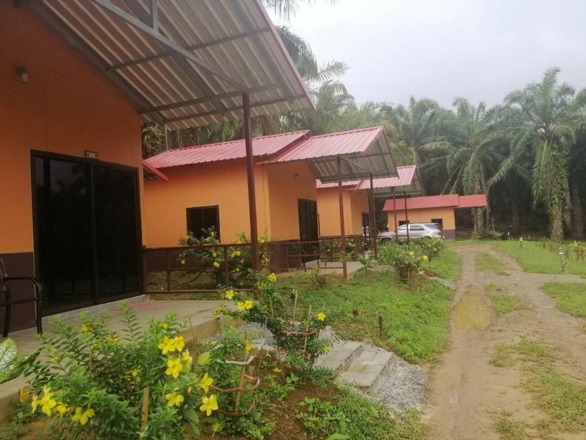 Khao Sok Evergreen House Khao Sok National Park Exterior foto