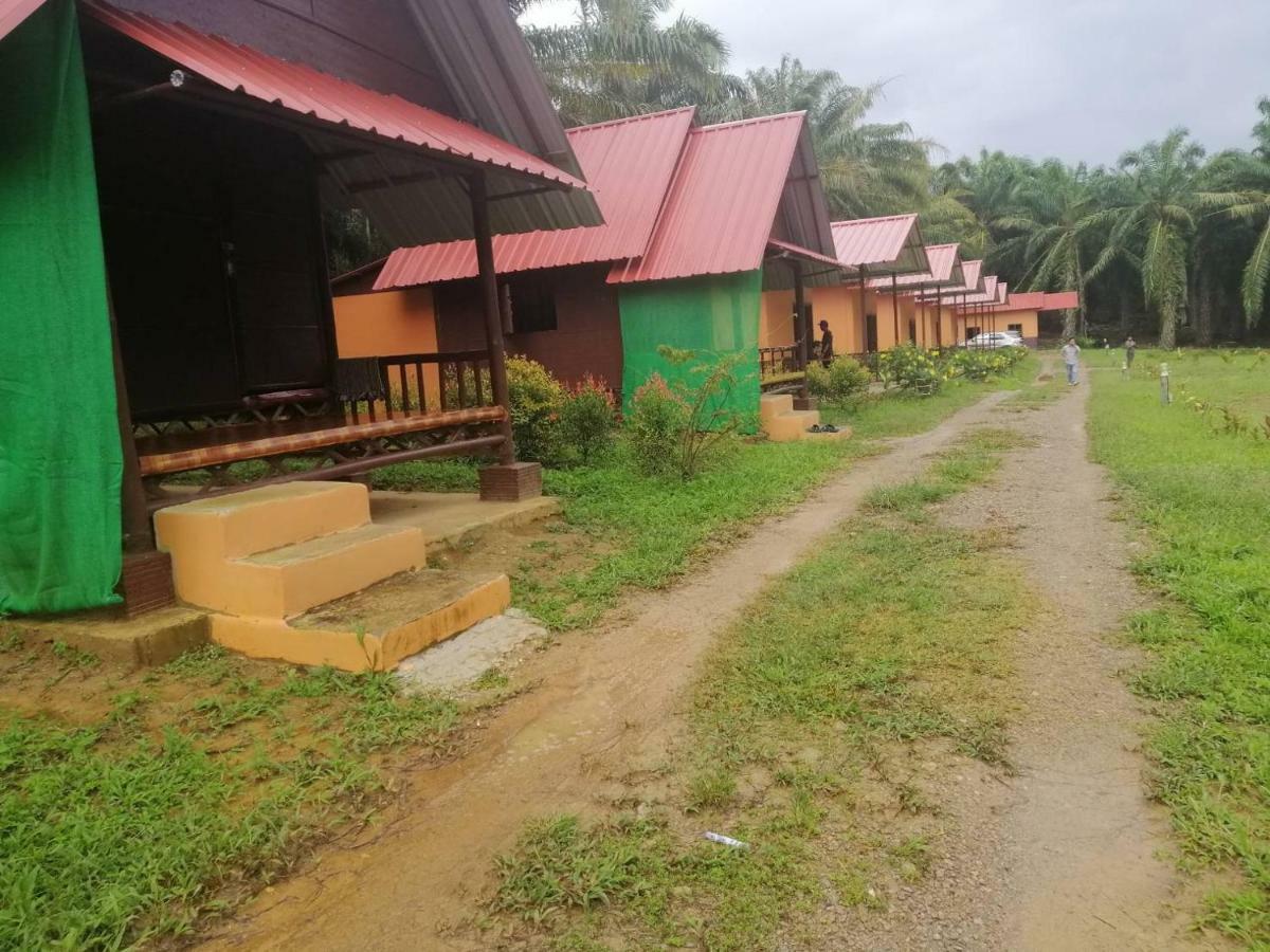Khao Sok Evergreen House Khao Sok National Park Exterior foto