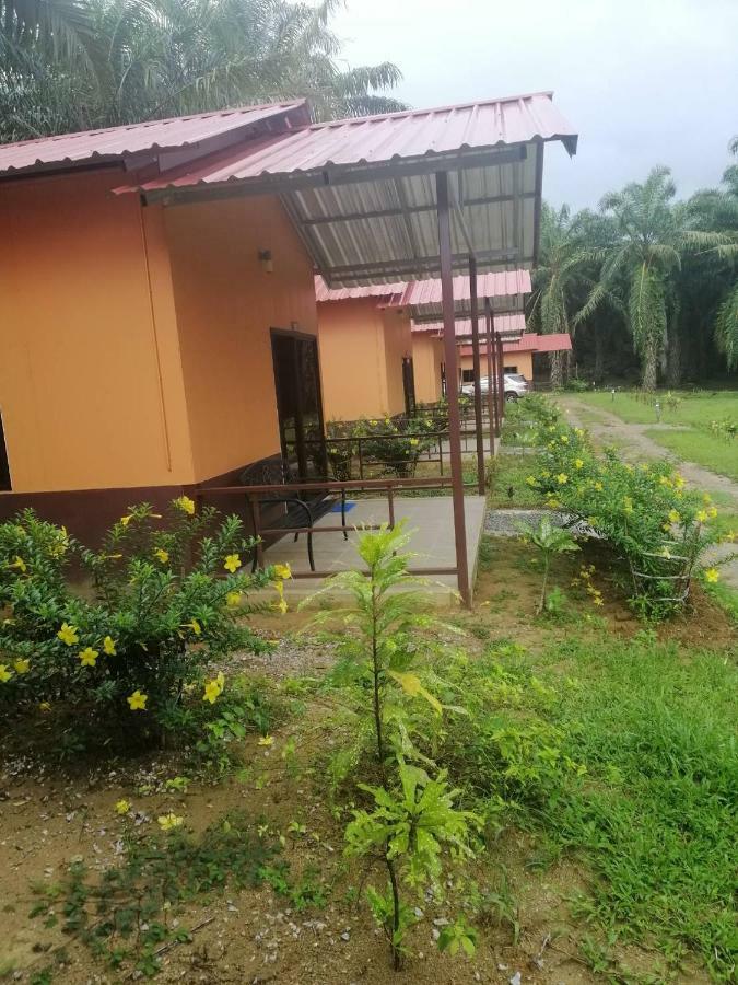 Khao Sok Evergreen House Khao Sok National Park Exterior foto